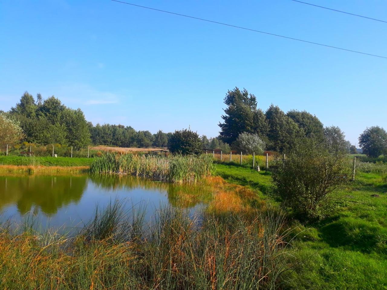 Agroturystyka يونيجوو المظهر الخارجي الصورة